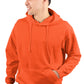 Premium 3 End Fleece Hooded Sweatshirt