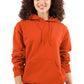 Premium 3 End Fleece Hooded Sweatshirt