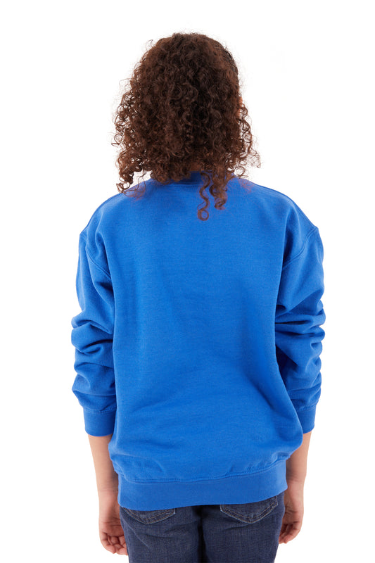 Premium 3 End Fleece Youth Crewneck Sweatshirt-Blank Shirt-Brisco Brands