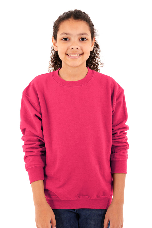 Promotional Fleece Youth Crewneck Sweatshirt-Blank Shirt-Brisco Brands