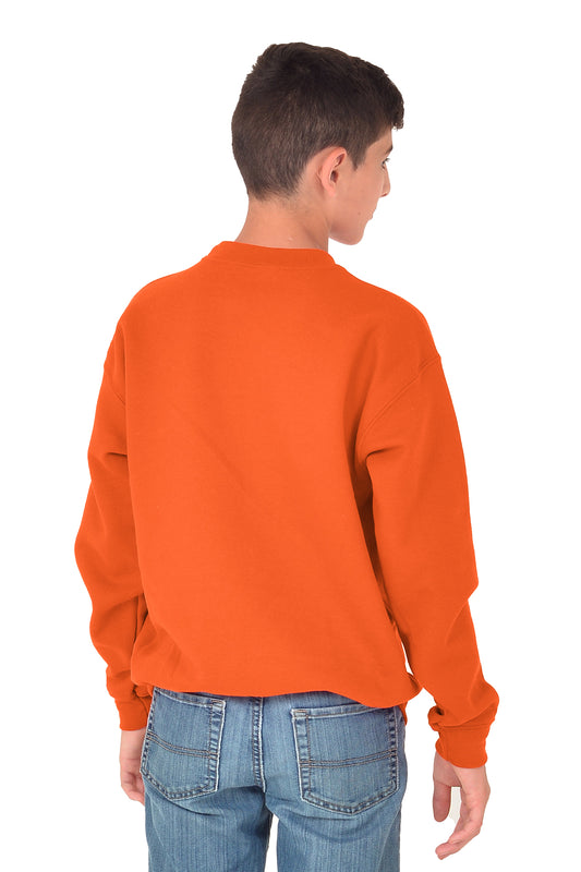 Premium 3 End Fleece Youth Crewneck Sweatshirt-Blank Shirt-Brisco Brands
